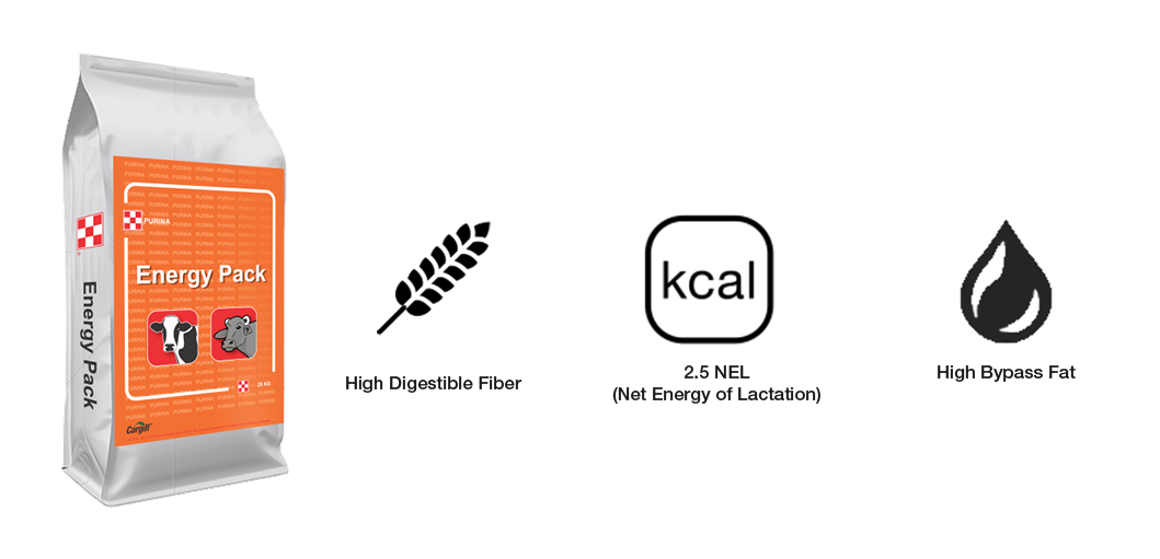 Energy Pack