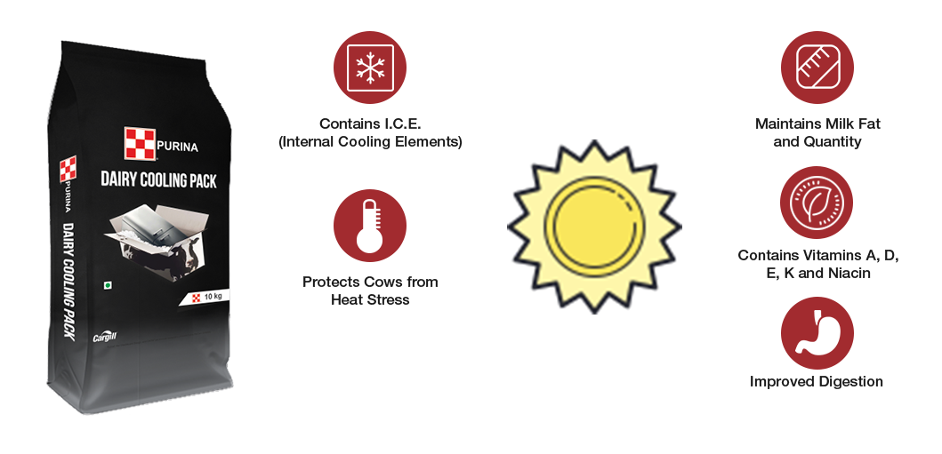 Dairy Cooling Pack