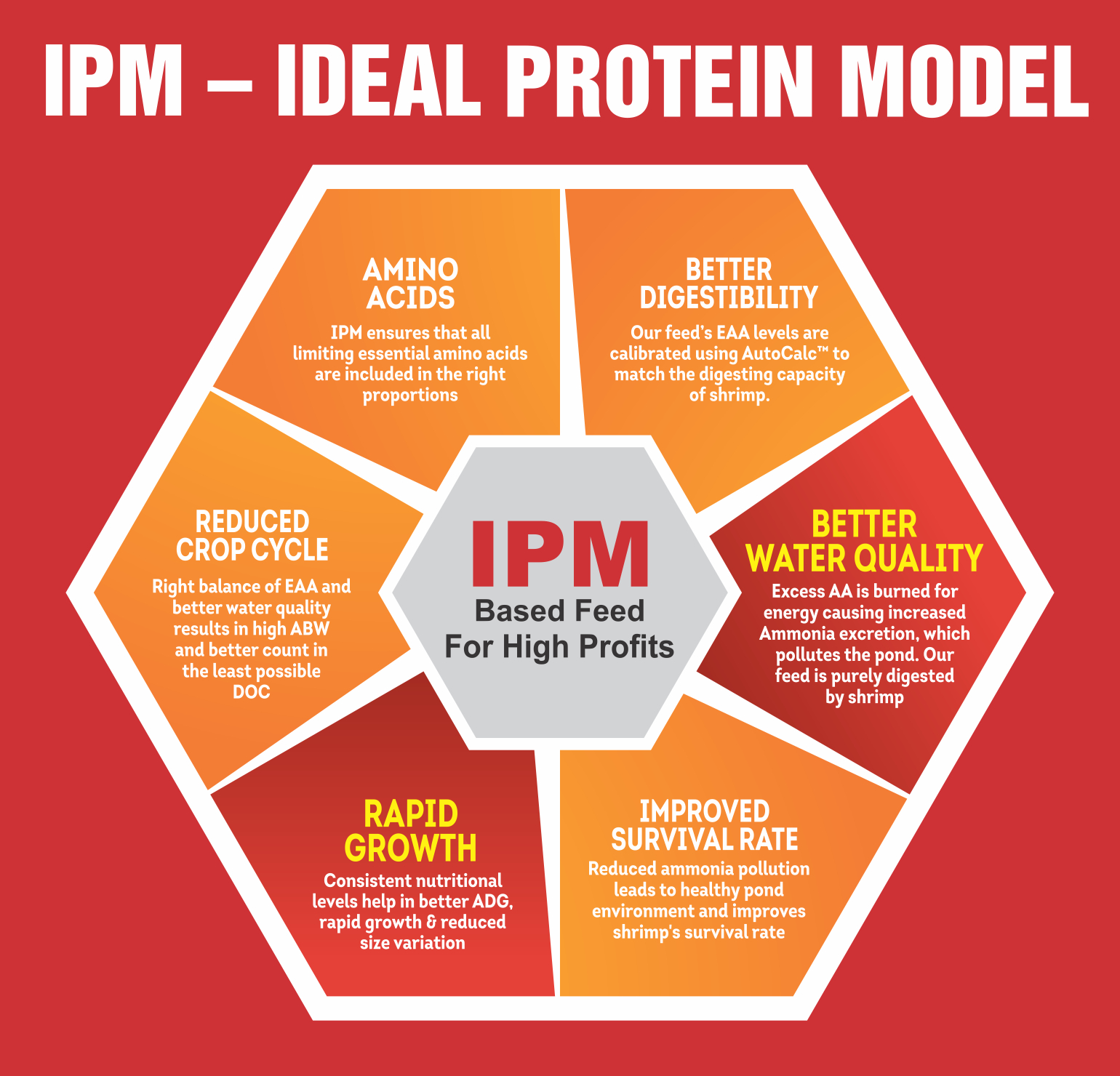 IPM Hexagon web